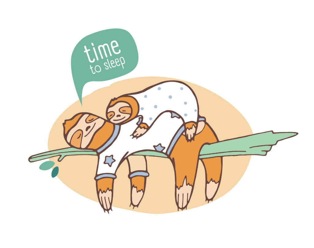 寝ているナマケモノ